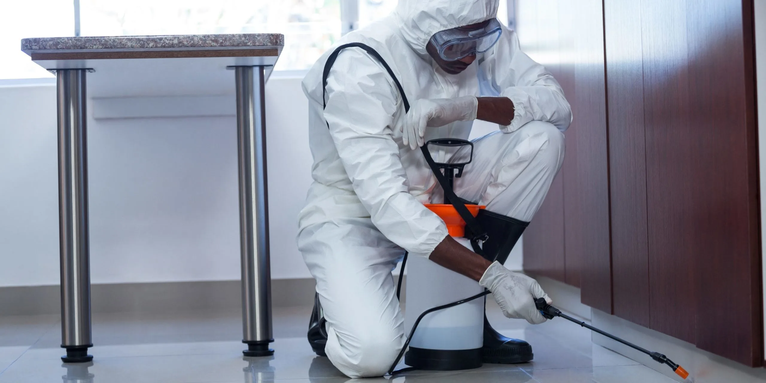 Pest-control-spray